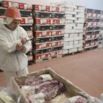 Tras 17 años, Argentina volverá a exportar carne bovina a EE.UU