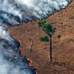 El incendio en el Amazonas es una “catástrofe continental” con “impacto mundial”
