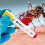 Ya son 134 los casos de dengue en La Plata e intensifican las fumigaciones
