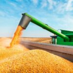 Los ingresos por exportaciones de soja, maíz y trigo alcanzarían los US$ 27.217 millones en 2021