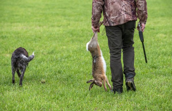 Hoy: la policía rural de Magdalena aprehendió a dos sujetos por caza de liebres