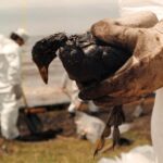 A 24 años del mayor derrame de petróleo sobre agua dulce, la causa continua sin resolverse