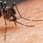 Confirman más de 7 mil casos de dengue en la provincia. Cuáles son los municipios en situación de brote