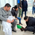 Sexta Jornada de castración gratuita